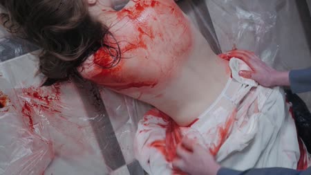 Crime House - BLOODY WEDDING DAY Crime House - BLOODY WEDDING DAY